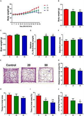 Prenatal Exposure to Gossypol Impairs Corticogenesis of Mouse